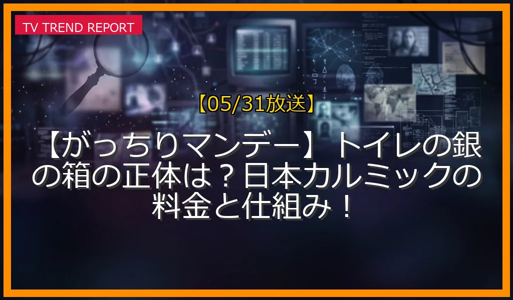 【05/31放送】【がっちりマンデー】トイレの銀の箱の正体は？日本カルミックの料金と仕組み！の放送内容と見どころ