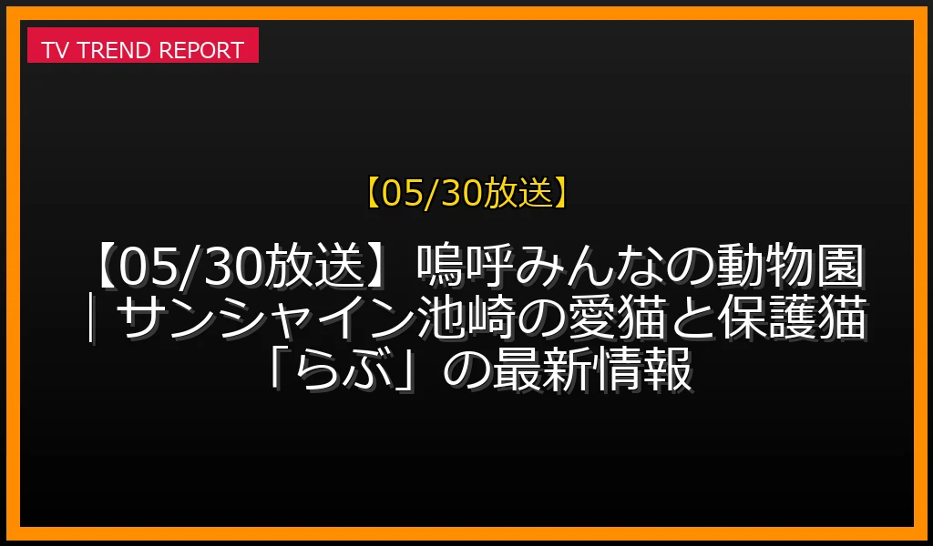 【05/30放送】【05/30放送】嗚呼みんなの動物園｜サンシャイン池崎の愛猫と保護猫「らぶ」の最新情報の放送内容と見どころ