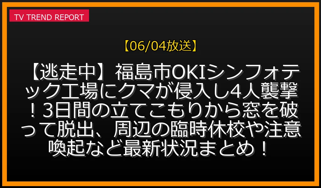 【06/04放送】【逃走中】福島市OKIシンフォテック工場にクマが侵入し4人襲撃！3日間の立てこもりから窓を破って脱出、周辺の臨時休校や注意喚起など最新状況まとめ！の放送内容と見どころ