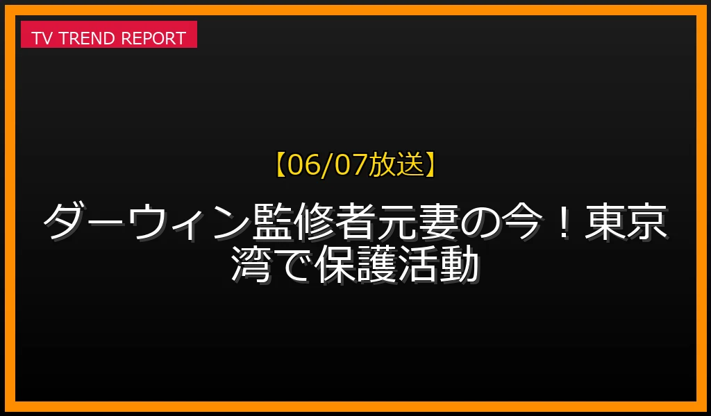 【06/07放送】ダーウィン監修者元妻の今！東京湾で保護活動の放送内容と見どころ