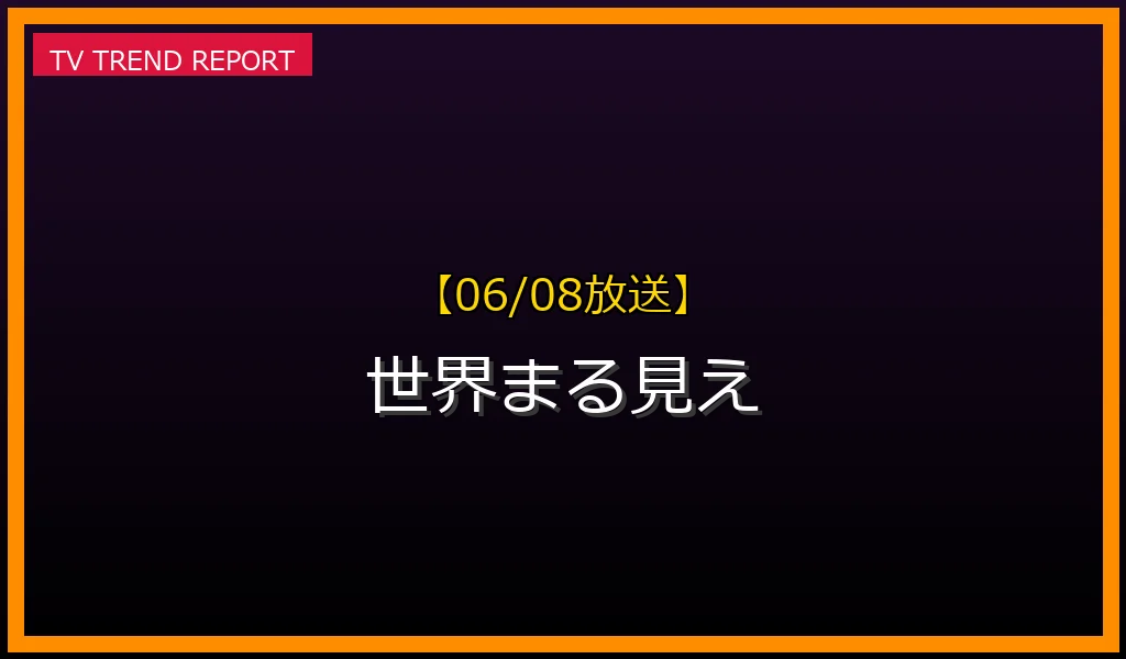 【06/08放送】【世界まる見え】6月8日放送「危機一髪SP」の見どころ！ローマ空港警備隊や謎の航空機爆発・見逃し配信情報まとめの放送内容と見どころ
