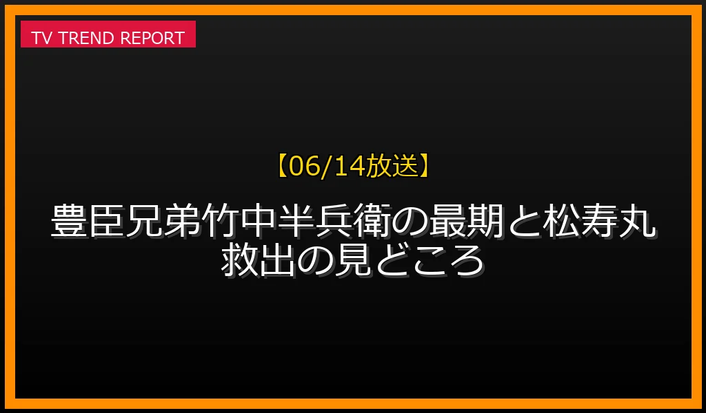 【06/14放送】【06/14放送】豊臣兄弟！竹中半兵衛の最期と松寿丸救出の見どころの放送内容と見どころ