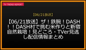 【06/21放送】【06/21放送】ザ！鉄腕！DASH！！DASH村で挑む米作りと新宿自然栽培！見どころ・TVer見逃し配信情報まとめの放送内容と見どころ