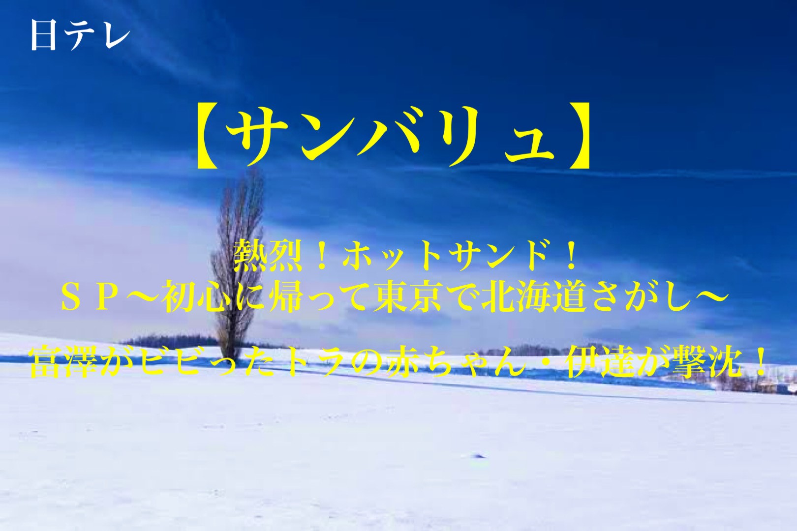 「熱烈！ホットサンド！ＳＰ〜初心に帰って東京で北海道さがし〜」