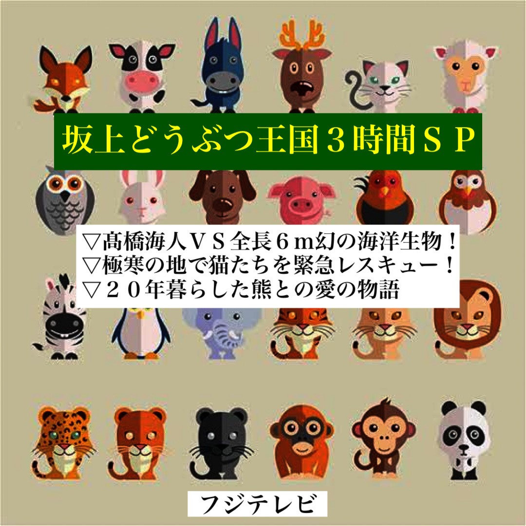 キンプリ髙橋ＷＥＳＴ桐山がフィリピンの海を大捜索