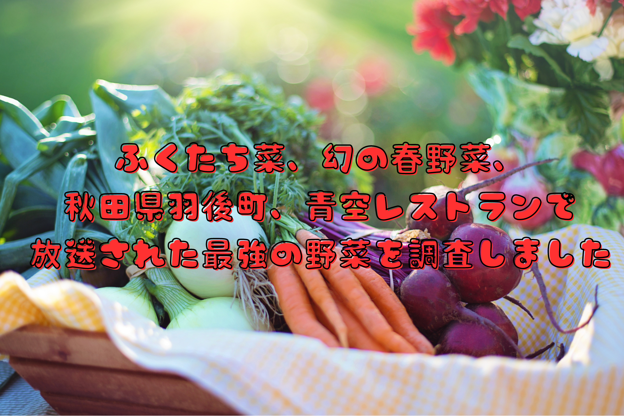 ふくたち菜、幻の春野菜、秋田県羽後町、青空レストランで放送された最強の野菜を調査しました
