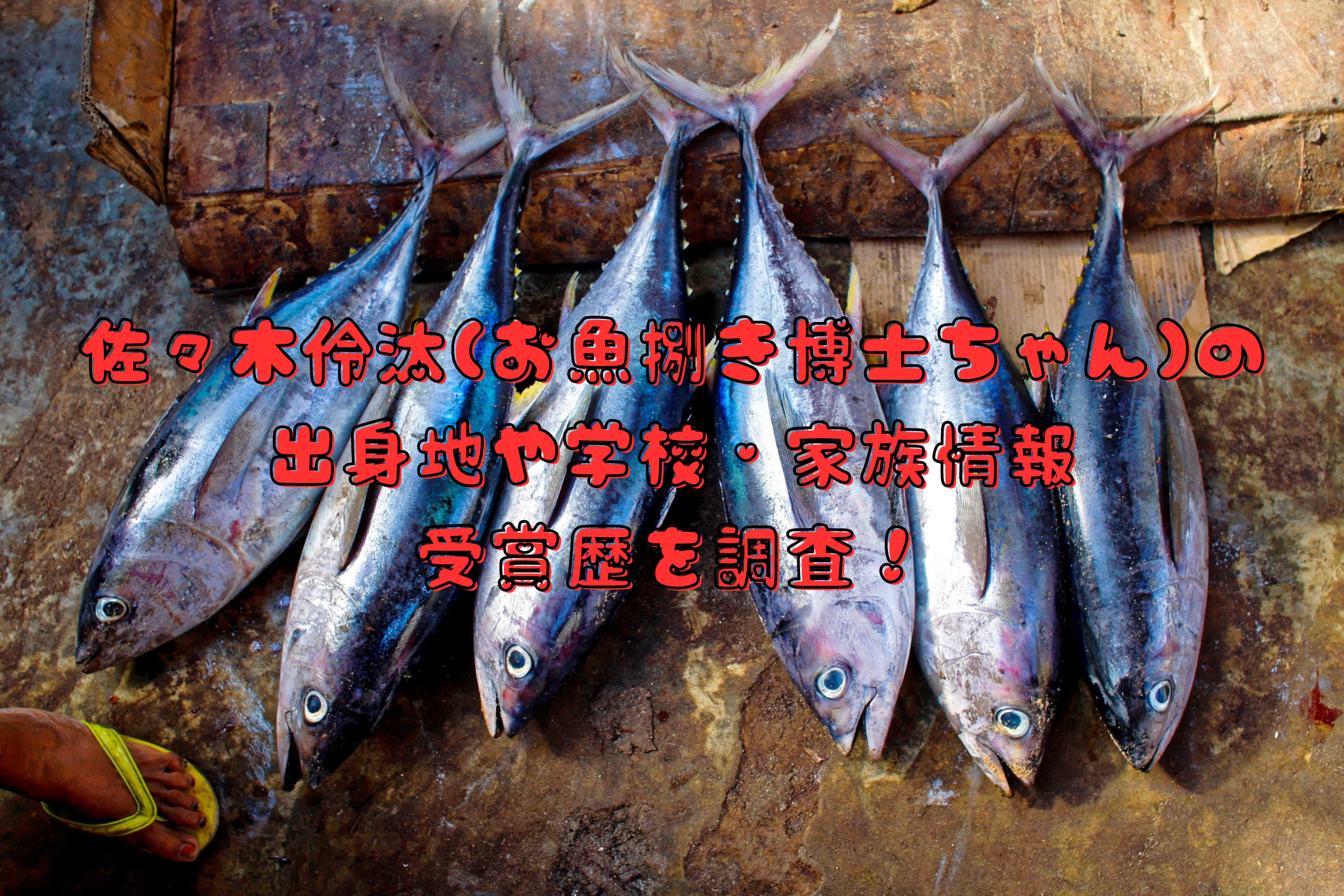 佐々木伶汰(お魚捌き博士ちゃん)の出身地や学校・家族情報に受賞歴を調査！