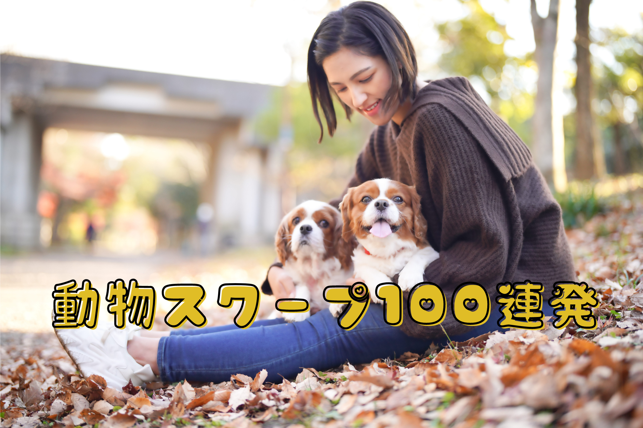 動物スクープ100連発