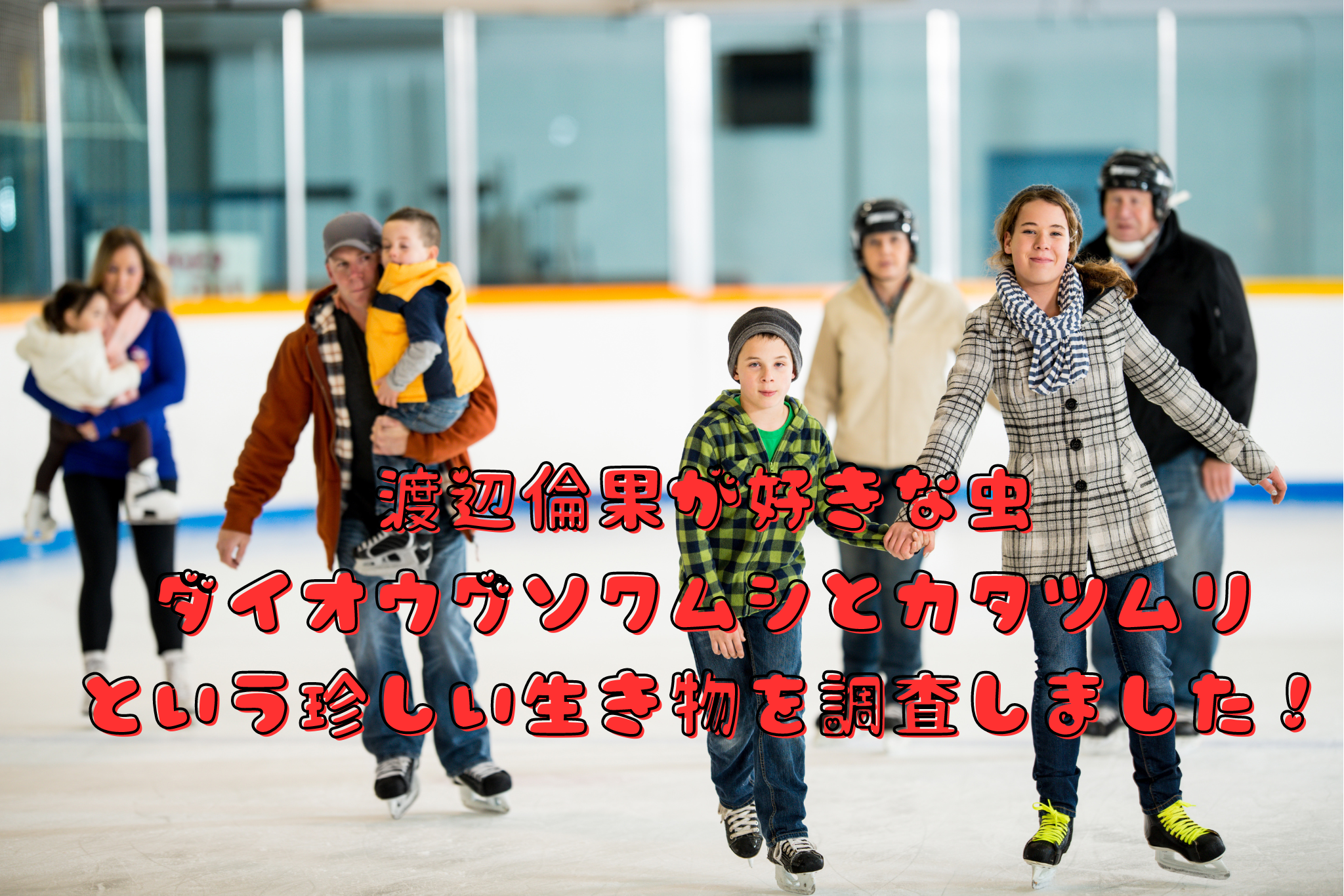 渡辺倫果が好きな虫 ダイオウグソクムシとカタツムリ という珍しい生き物を調査しました！