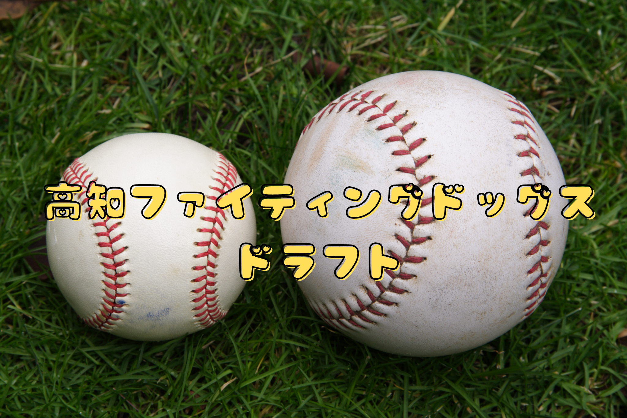 高知ファイティングドッグス ドラフト