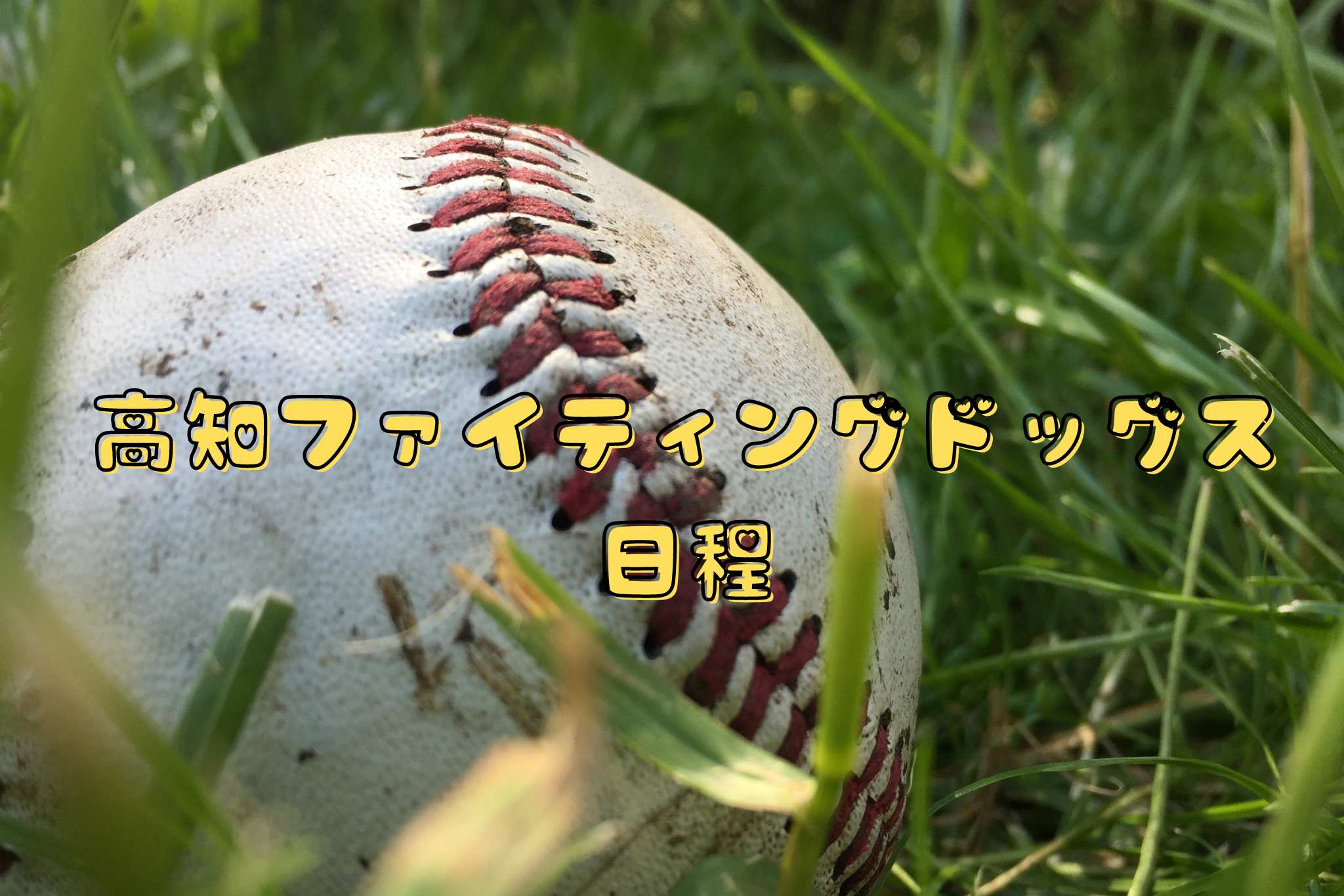 高知ファイティングドッグス 日程