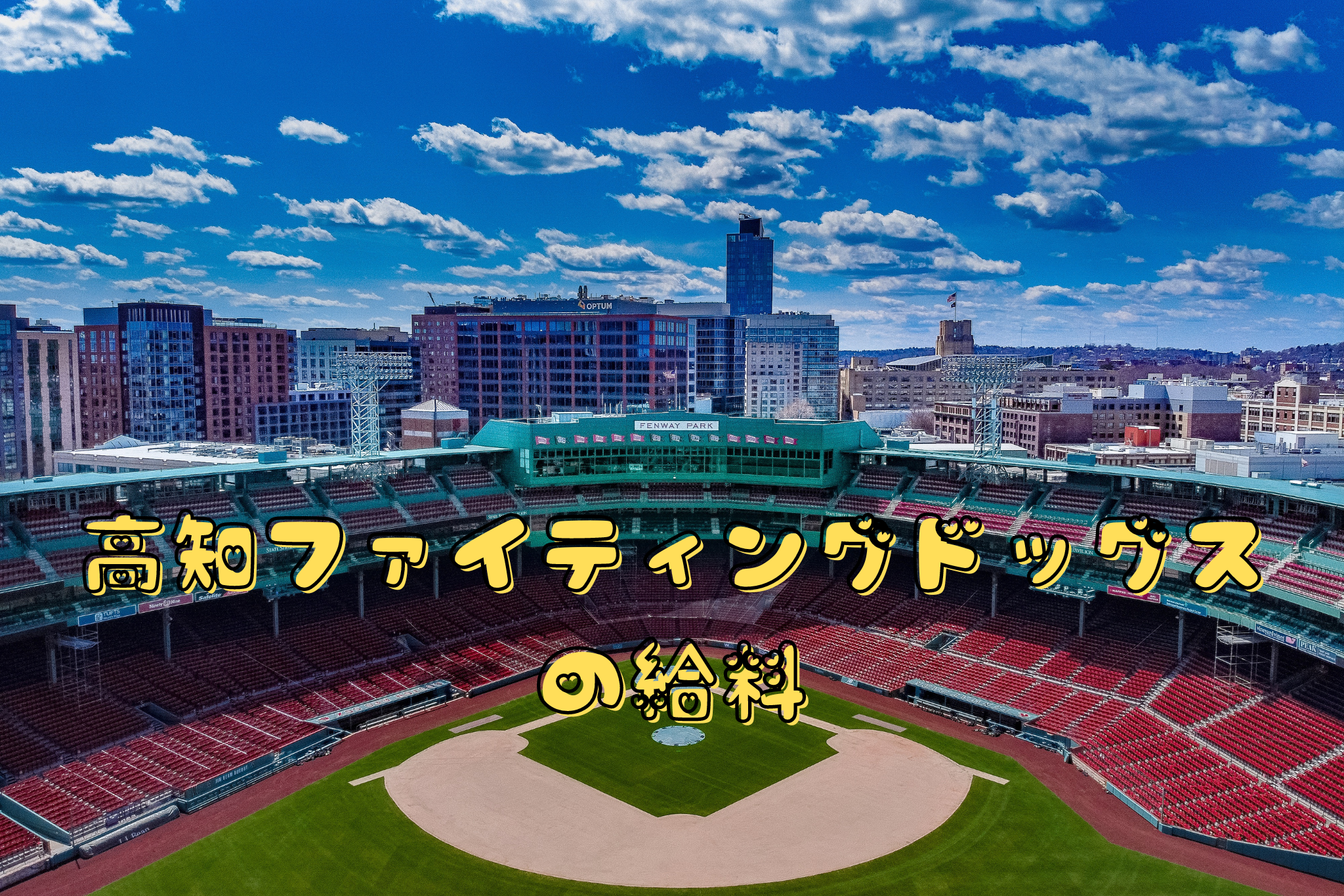 高知ファイティングドッグスの給料