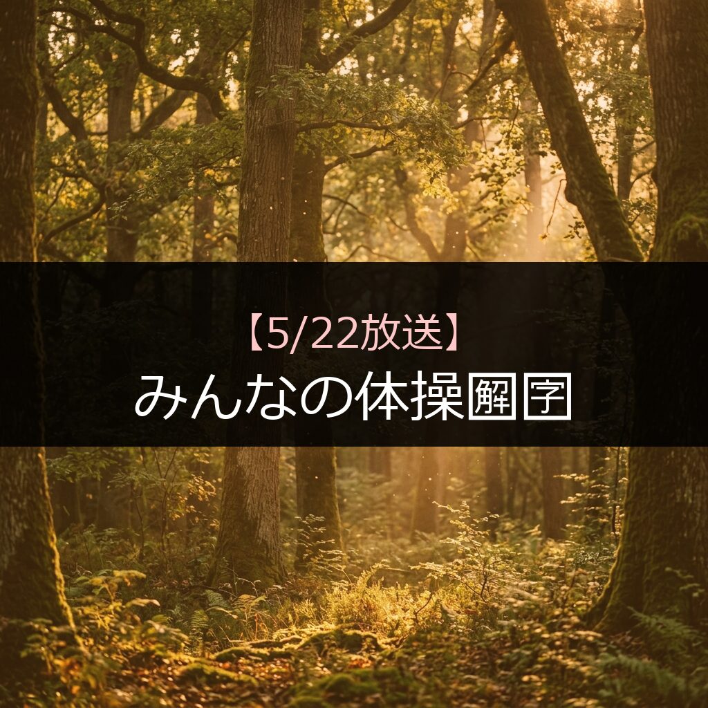 522 minnanotaisoutaisoutaisou 5 - 番組情報まとめ