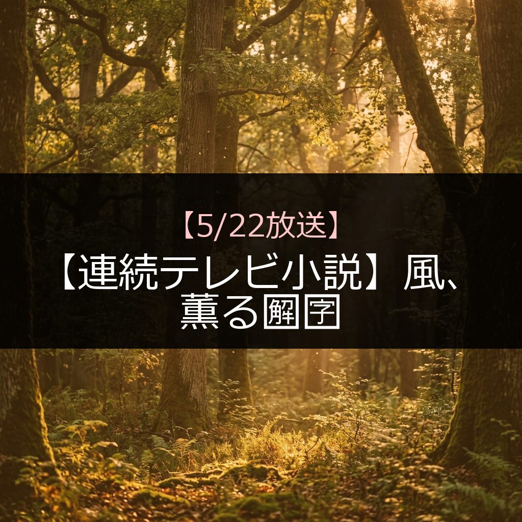 522 renzokuterebishousetsukaze kaorukaorukaoru 3 - 番組情報まとめ