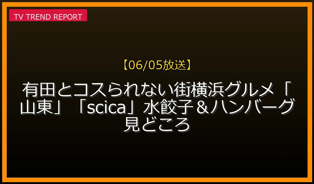 【06/05放送】【06/05放送】有田とコスられない街！横浜グルメ「山東」「scica」水餃子＆ハンバーグ見どころの放送内容と見どころ
