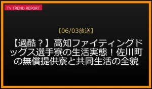 高知ファイティングドッグス選手寮の生活実態と佐川町の無償提供寮