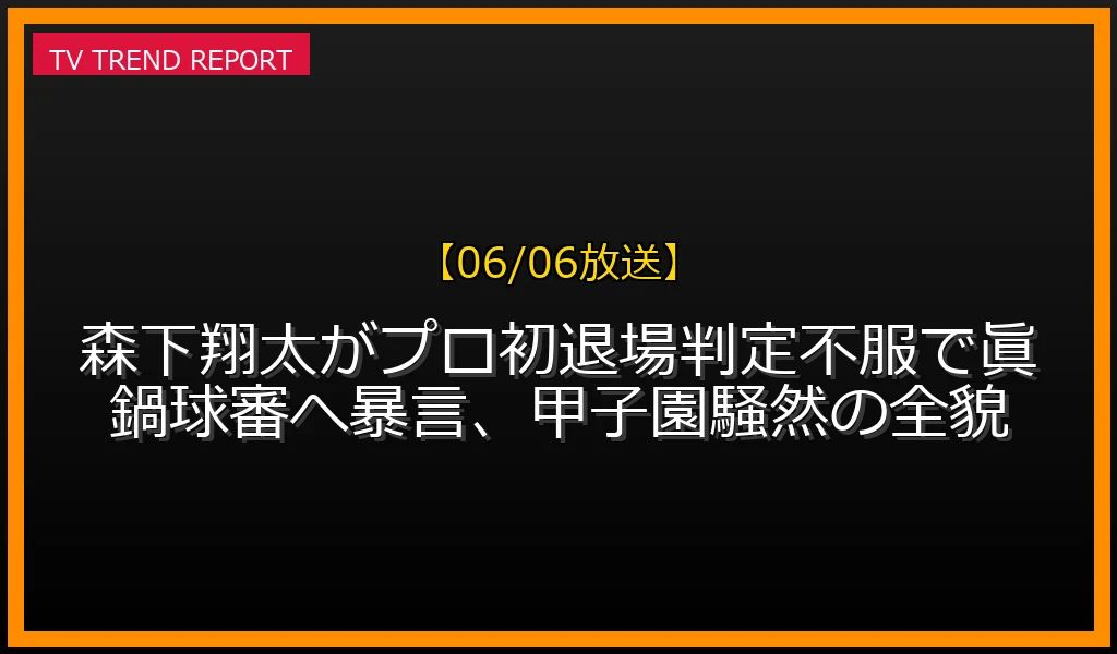 【06/06放送】【06/06試合】森下翔太がプロ初退場！判定不服で眞鍋球審へ暴言、甲子園騒然の全貌の放送内容と見どころ