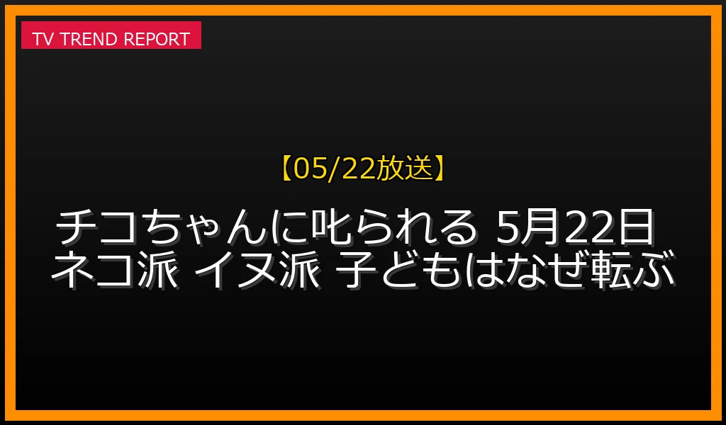 【05/22放送】チコちゃんに叱られる！ネコ派とイヌ派せえのって？子どもはなぜ転ぶの最新情報・見どころ解説