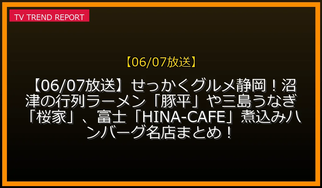【06/07放送】【06/07放送】せっかくグルメ静岡SP！沼津の行列ラーメン「豚平」や三島うなぎ「桜家」、富士「HINA-CAFE」煮込みハンバーグ名店まとめ！の最新情報・見どころ解説