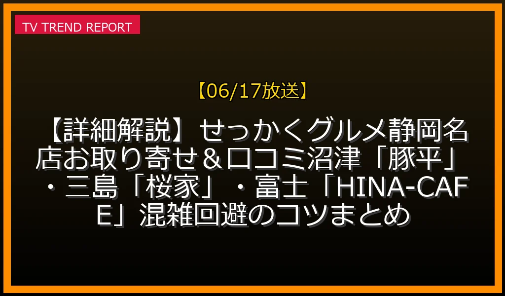 【06/17放送】【詳細解説】せっかくグルメ静岡SP名店お取り寄せ＆口コミ！沼津「豚平」・三島「桜家」・富士「HINA-CAFE」混雑回避のコツまとめ！の放送内容と見どころ
